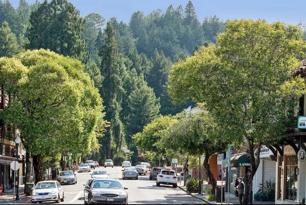 $35,000 | 162 Throckmorton Avenue, Mill Valley, CA 94941