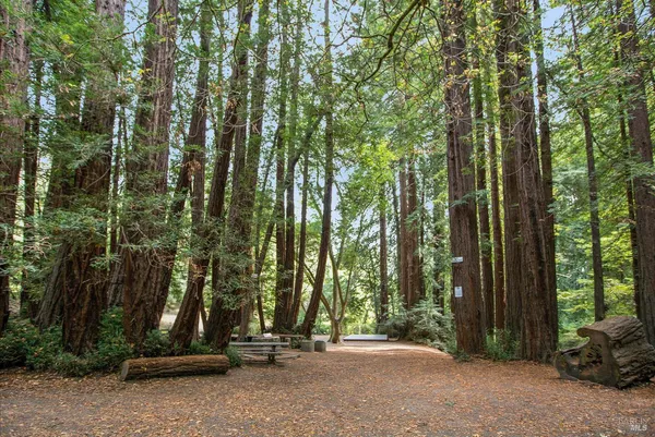 $35,000 | 162 Throckmorton Avenue, Mill Valley, CA 94941