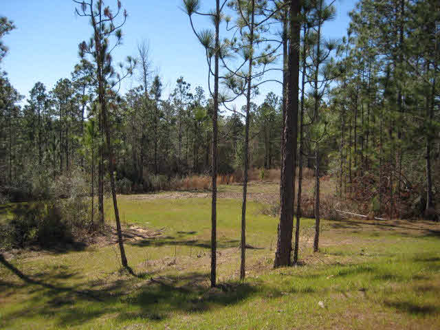 33733 Rutland Lane Daphne, AL 36527 - Photo 19 of 26