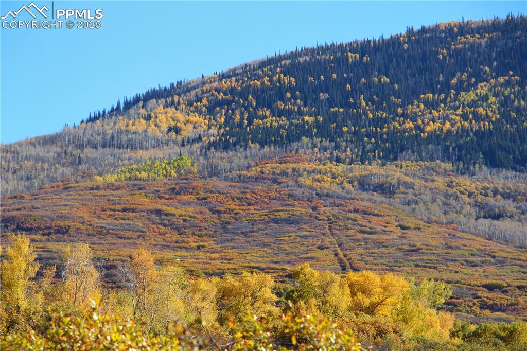 Undisclosed Address Mesa, CO 81643 - Photo 2 of 13 a view of a yard with wooden fence