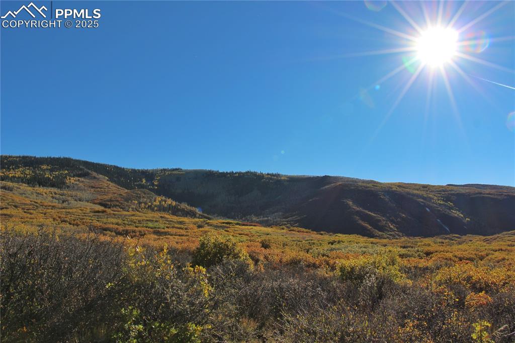 Undisclosed Address Mesa, CO 81643 - Photo 3 of 13