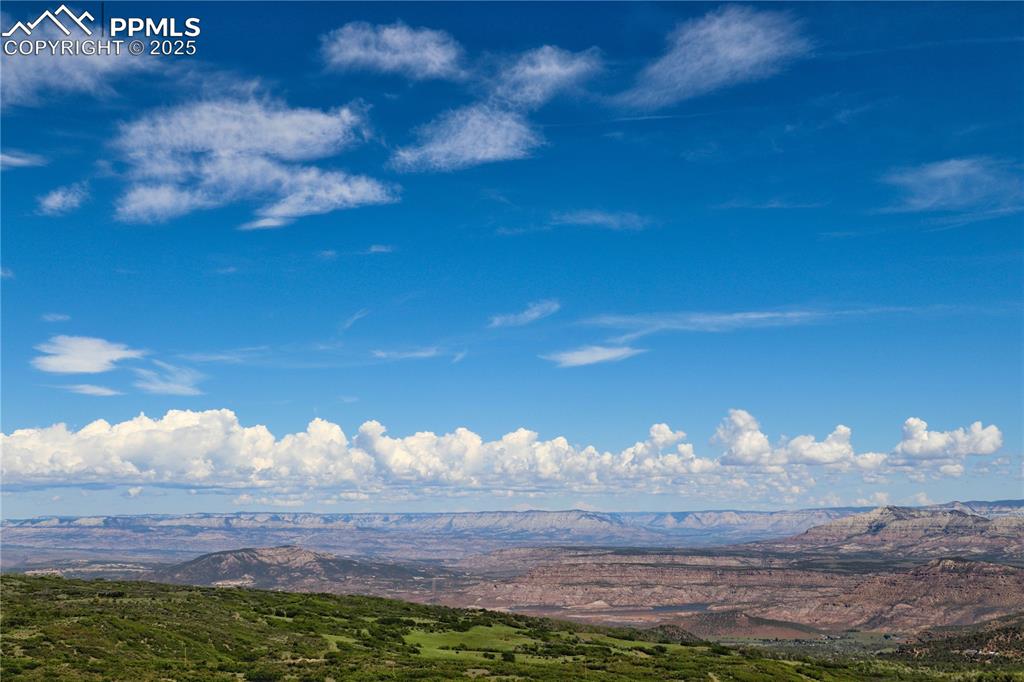 Undisclosed Address Mesa, CO 81643 - Photo 10 of 13 a view of a big yard of the house