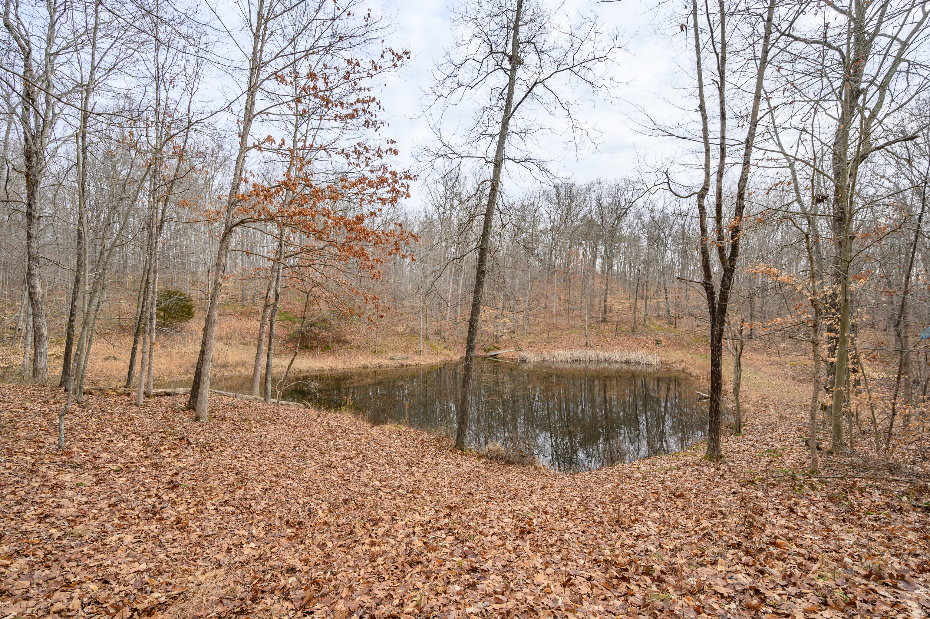 429 Daugherty Road Nashville, IN 47448 - Photo 61 of 76 Gallery Image 61