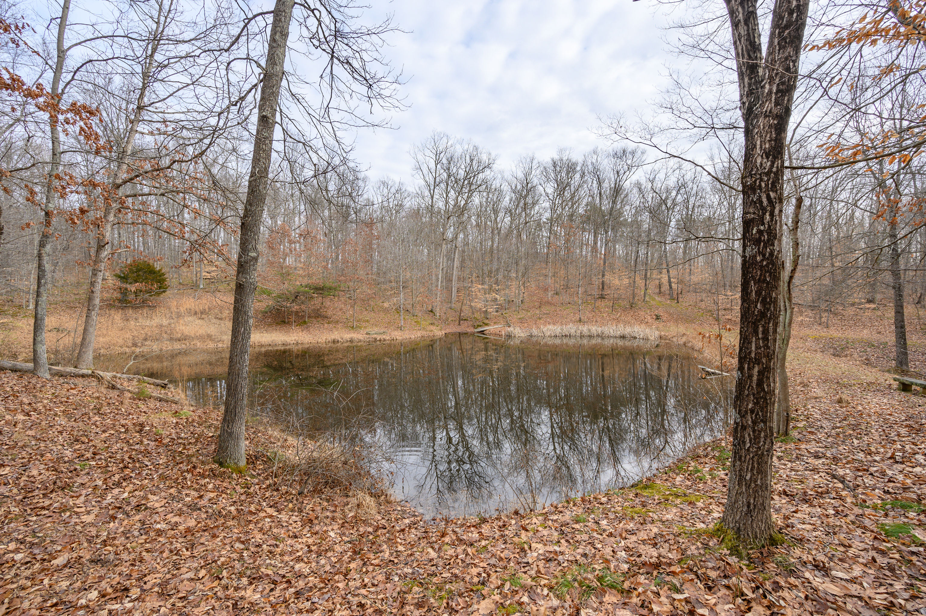 429 Daugherty Road Nashville, IN 47448 - Photo 62 of 76 Gallery Image 62