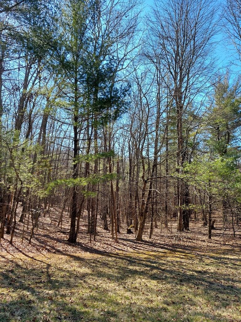 6 Wolfpen Ridge Road Galax, VA 24333 - Photo 16 of 18 Gallery Image 16