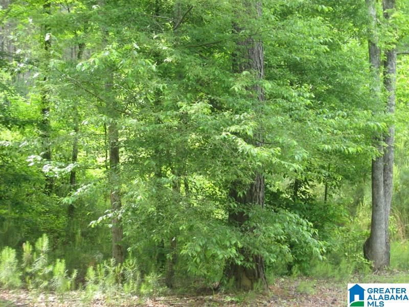 178 Olde Springs Road, Unit 24 Anniston, AL 36207 - Photo 31 of 37