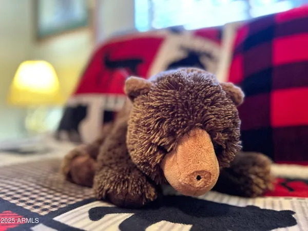 a view of a bird view of a house