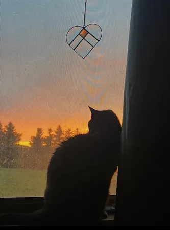 $500,000 | 8818 70th Street, Little Falls, MN 56345