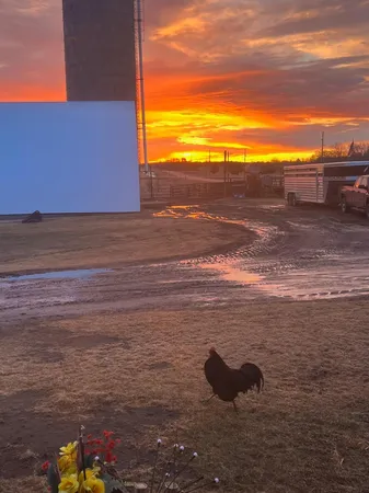 $500,000 | 8818 70th Street, Little Falls, MN 56345