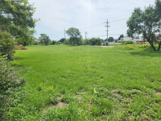 a view of a grassy field with trees in the background