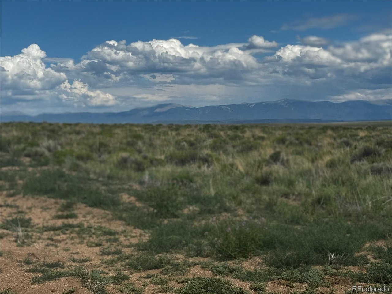16 Harold Road San Luis, CO 81152 - Photo 6 of 15 a view of a yard