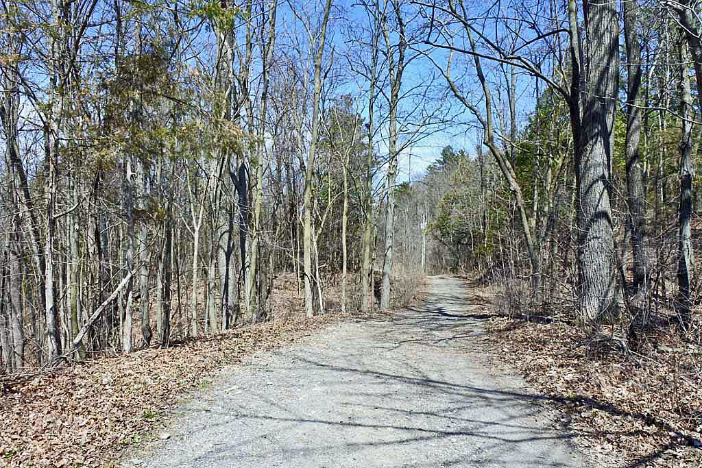 495 Singing Cedars Road Orwell, VT 05760 - Photo 3 of 19