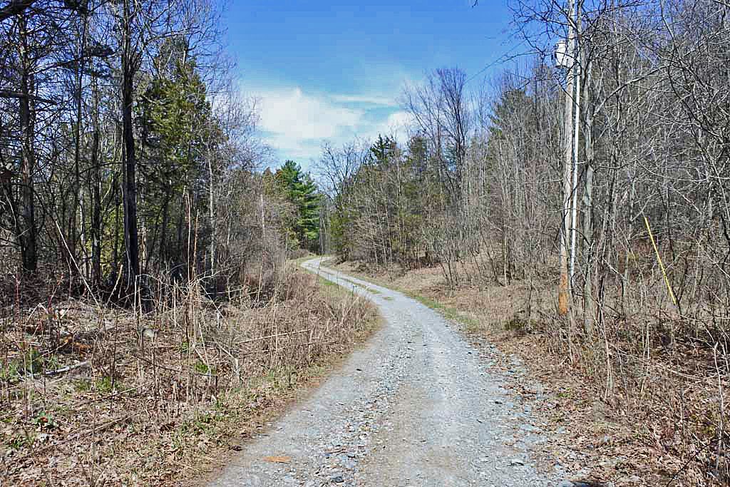 495 Singing Cedars Road Orwell, VT 05760 - Photo 6 of 19