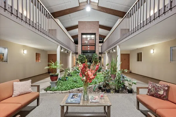 a living room with furniture and a potted plant