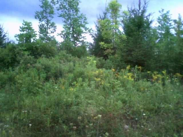 1 Humphrey Road Carlisle, NY 12031 - Photo 1 of 1 Photo 1