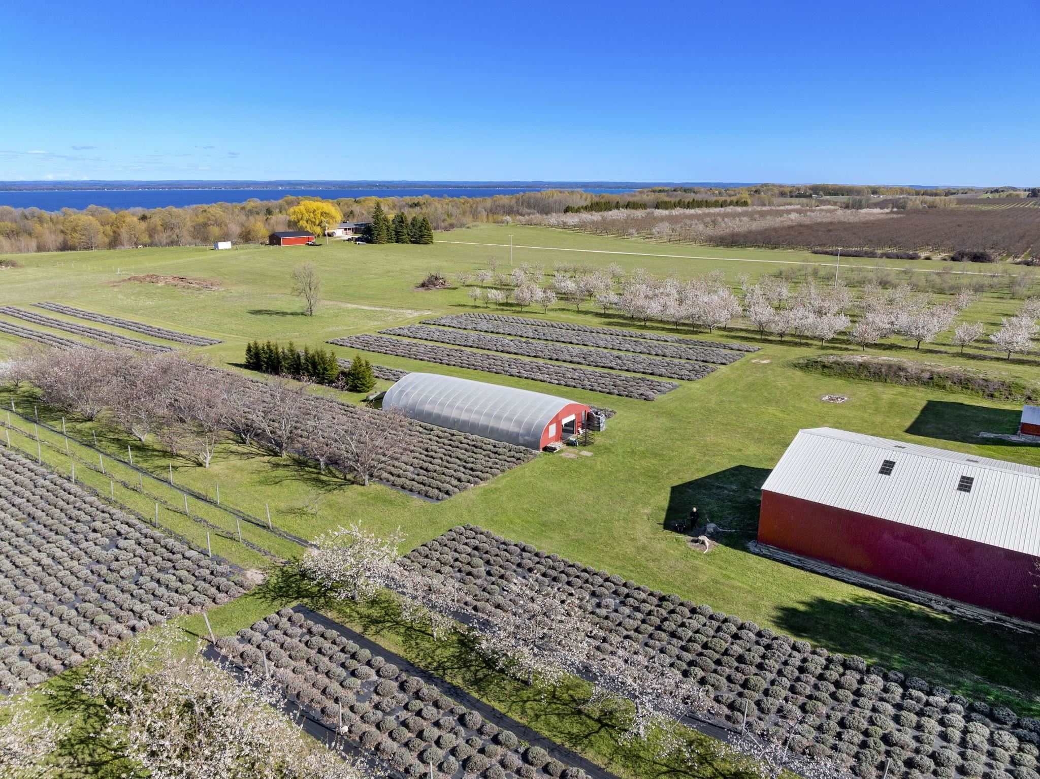 17770 Center Road Traverse City, MI 49686 - Photo 91 of 97