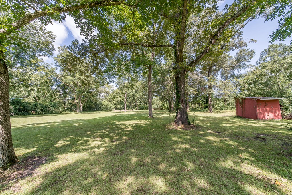 83 Kitetown Road Seale, AL 36875 - Photo 18 of 43