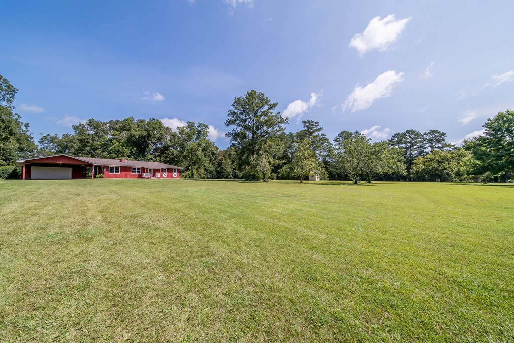 83 Kitetown Road Seale, AL 36875 - Photo 3 of 43
