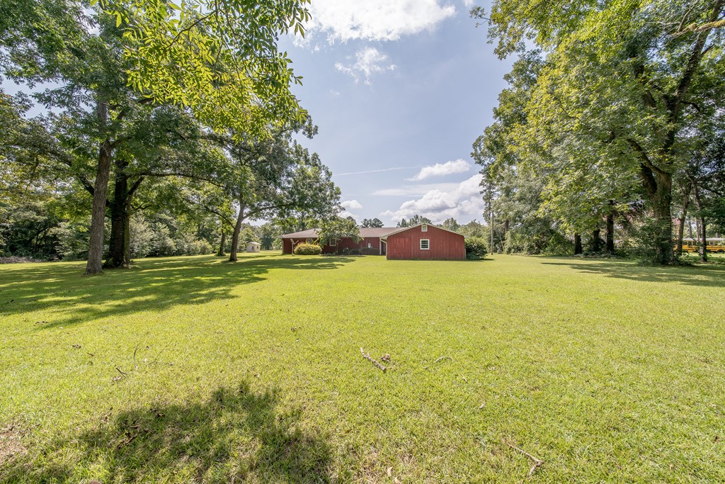 83 Kitetown Road Seale, AL 36875 - Photo 4 of 43