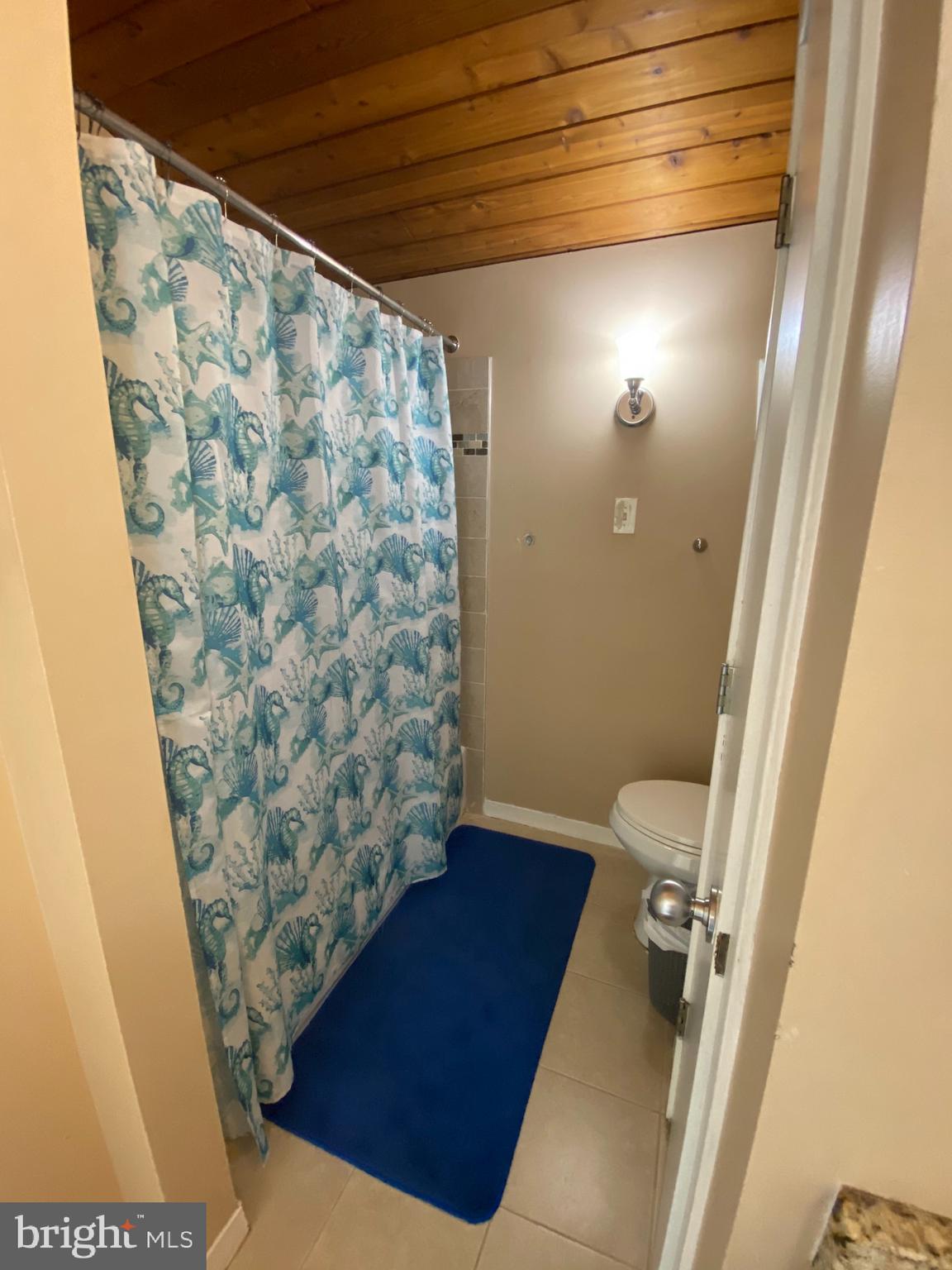 1731 Briggs Chaney Road Silver Spring, MD 20905 - Photo 51 of 76 Hall Bath