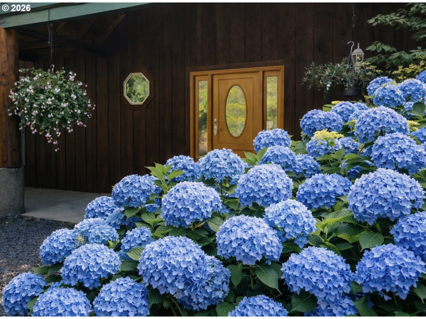 165 Friday Road Ariel, WA 98603 - Photo 3 of 48