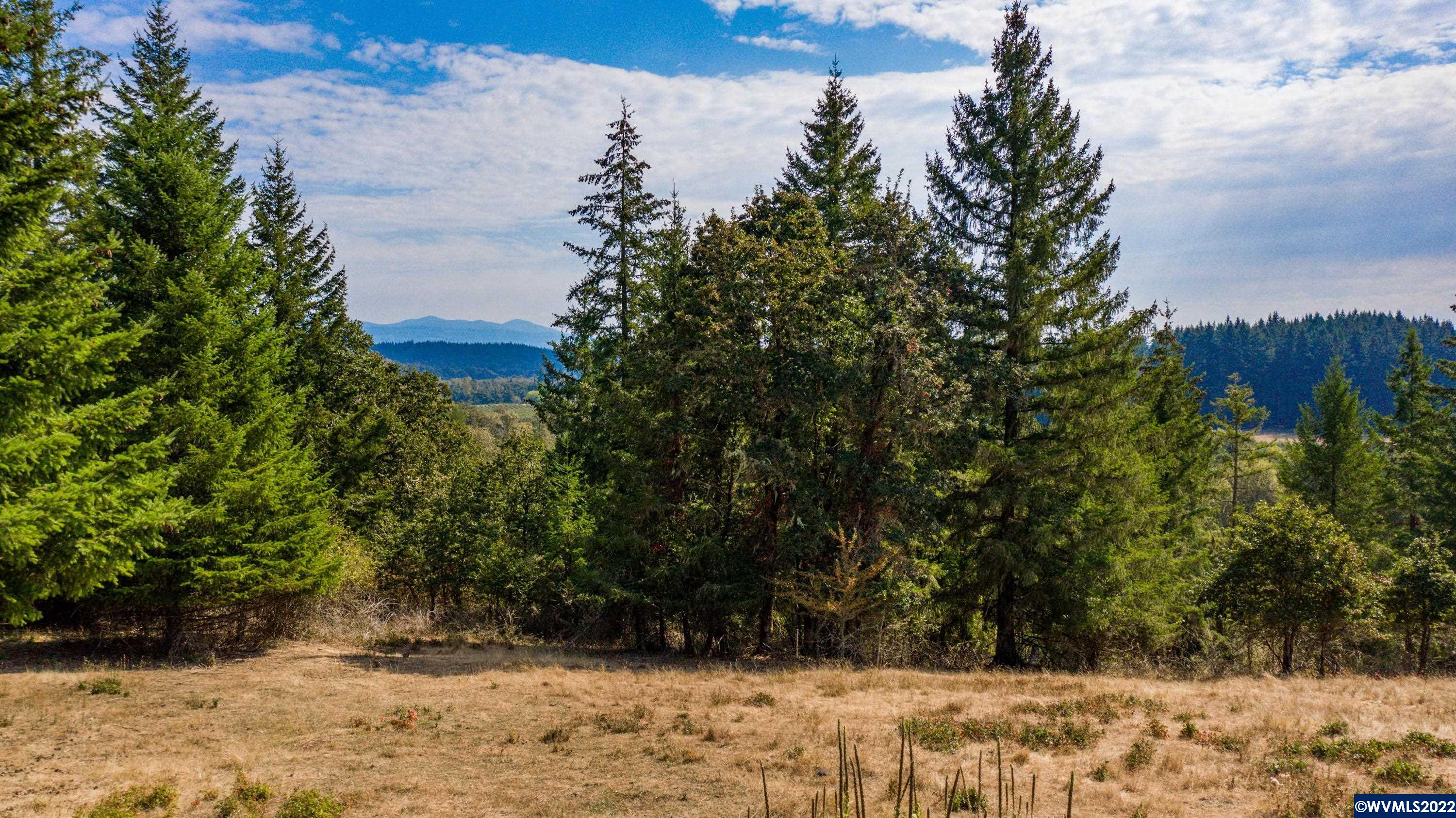 33825 Bond Road Lebanon, OR 97355 - Photo 36 of 39