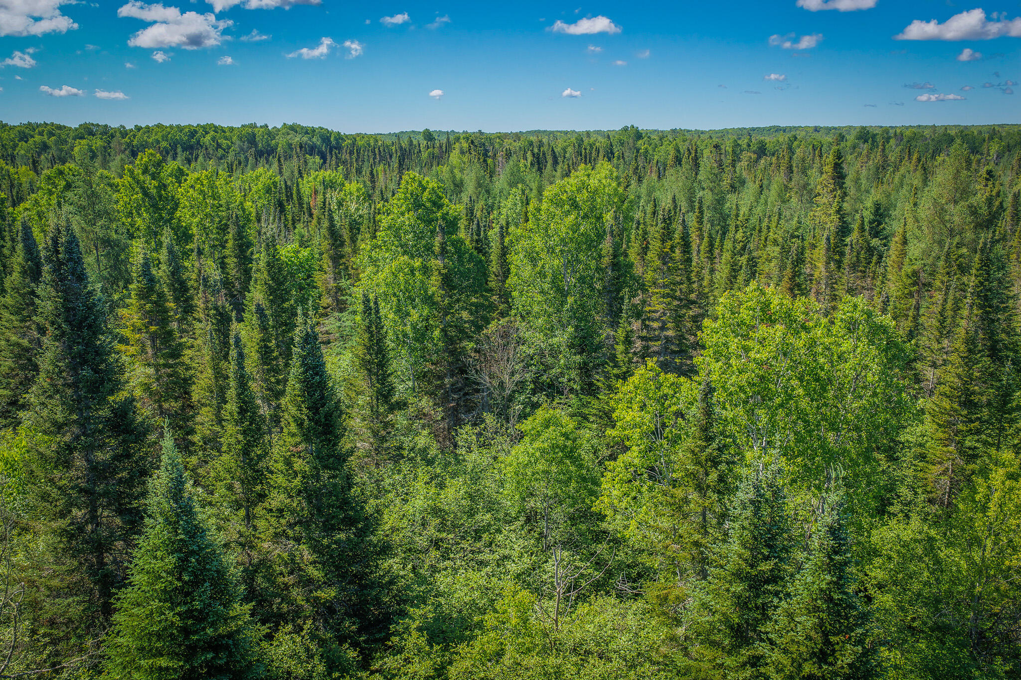 South North Hulbert Road Eckerman, MI 49728 - Photo 10 of 29 DJI_20260623030621_0012_D
