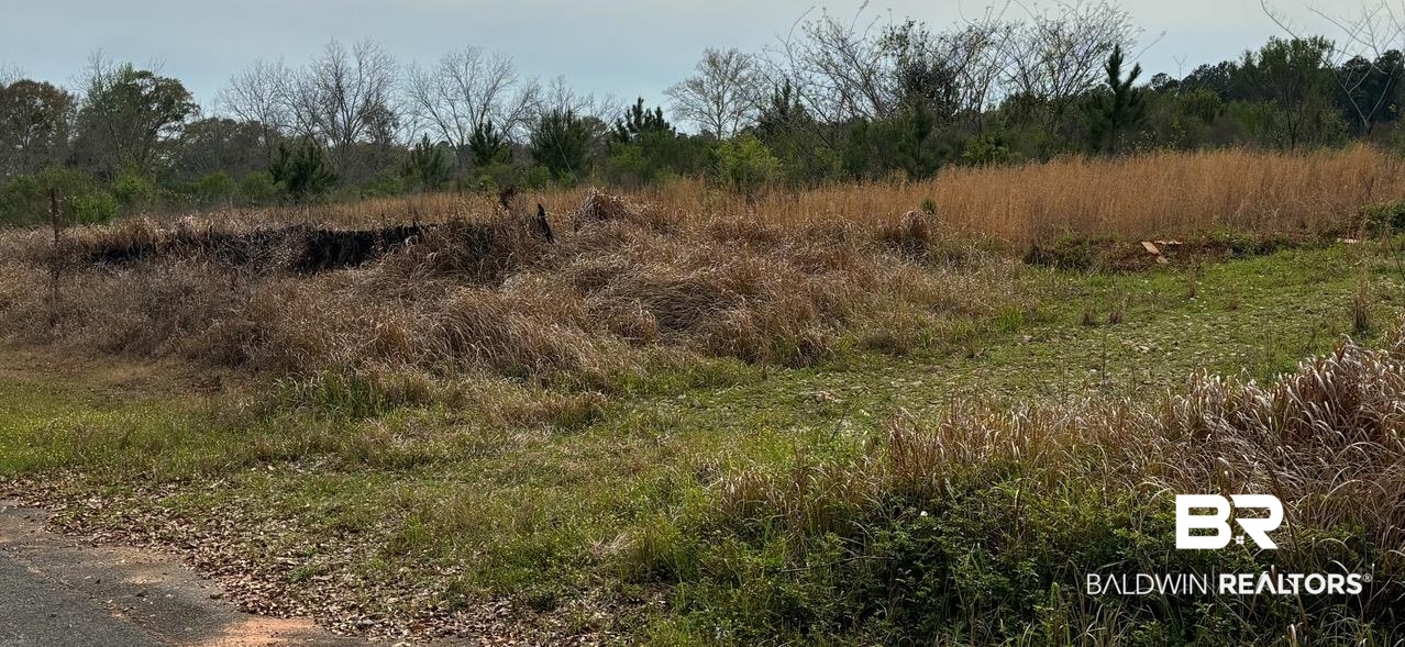 3740 Latigo Road Mobile, AL 36695 - Photo 5 of 8 View of nature with a rural view