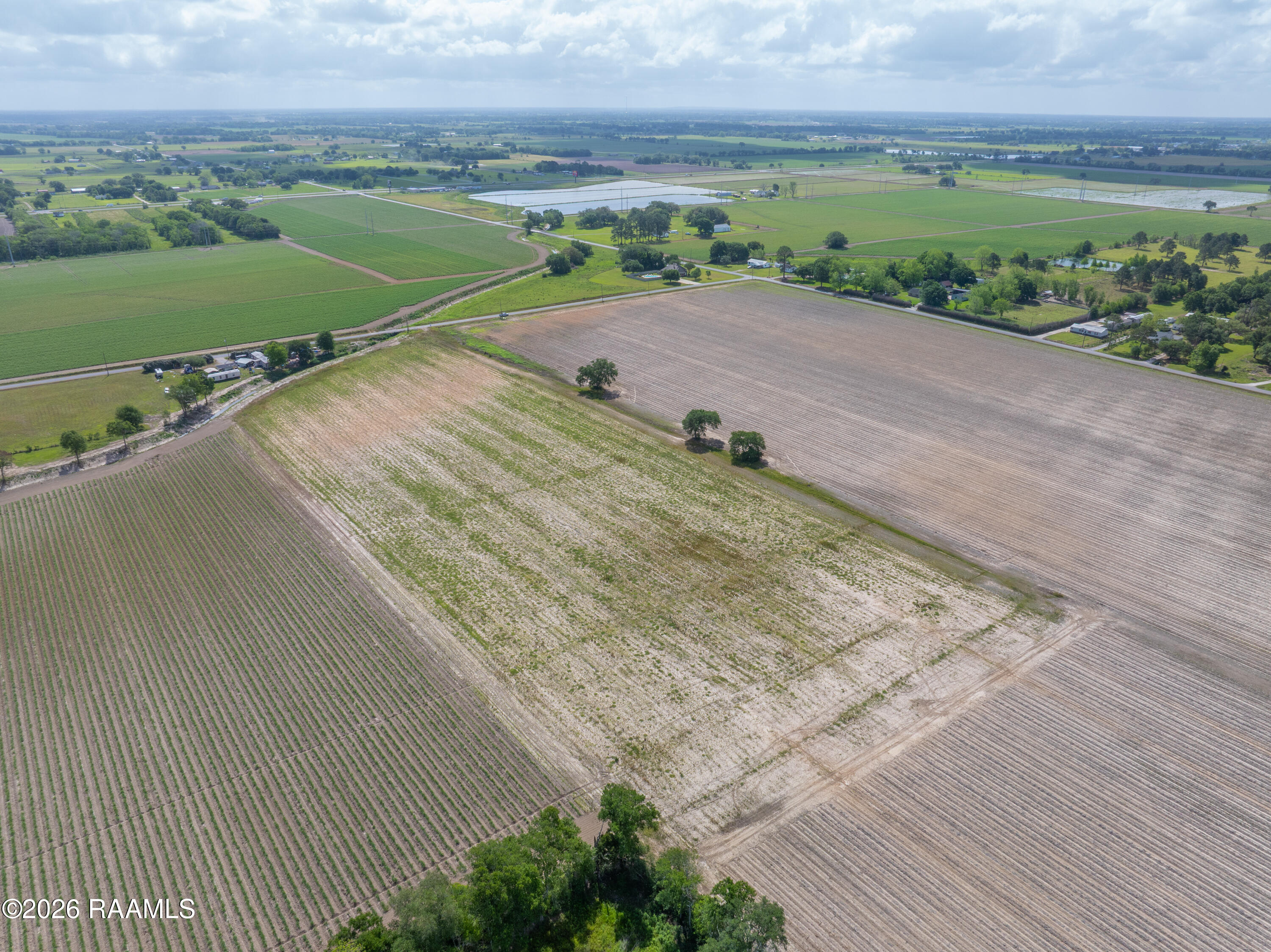 0 Beau Road Maurice, LA 70555 - Photo 10 of 13 BeauRd-3