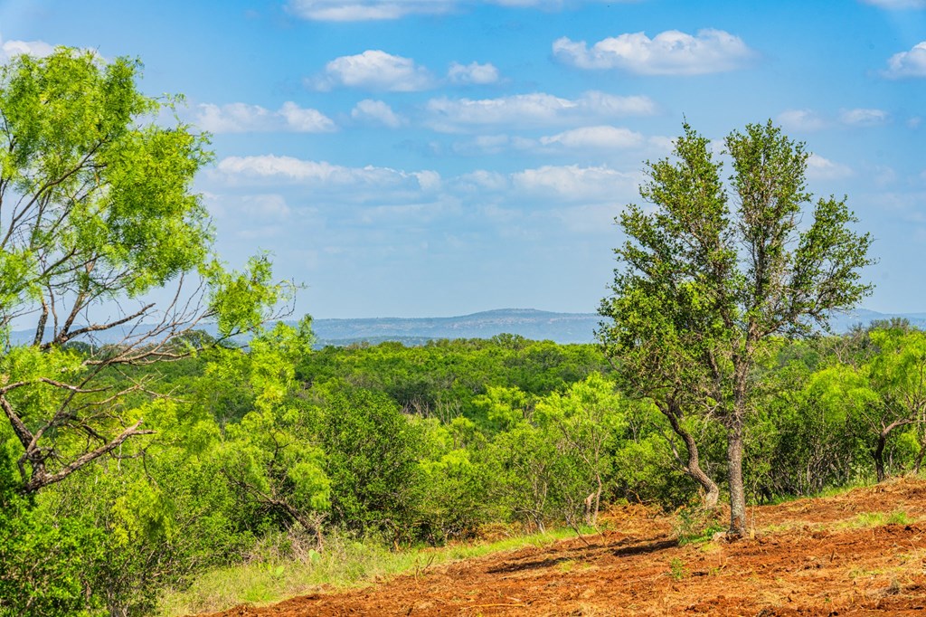 7602 County Road 113 Llano, TX 78643 - Photo 16 of 69