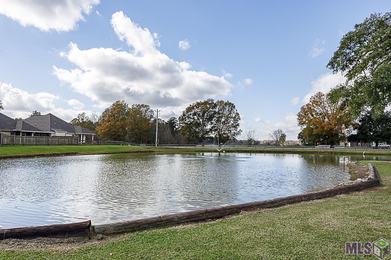 31404 Old River Road Denham Springs, LA 70726 - Photo 6 of 50 Gallery Image 6