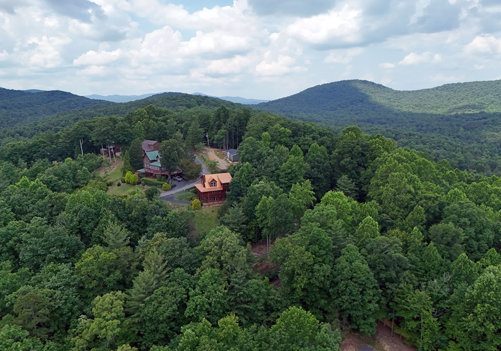 224 Crest Road Blairsville, GA 30512 - Photo 16 of 62