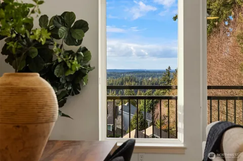 a view of a potted plant in front of a door
