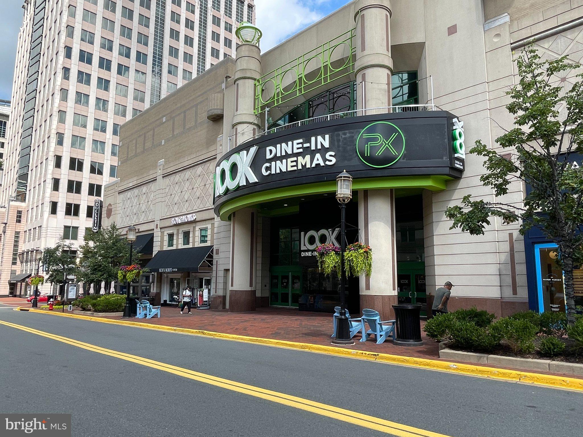 11081 Pelham Manor Place Reston, VA 20194 - Photo 88 of 99 Modern Dine-In Cinema Experience
