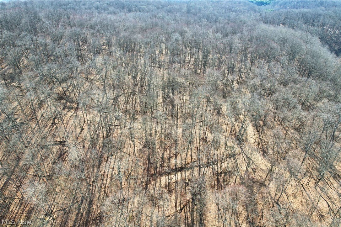 Wolf Rd Port Southwest Port Washington, OH 43837 - Photo 15 of 27 Aerial view of a forest