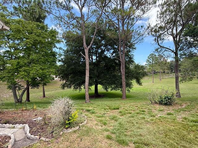 2232 Springmeadow Drive Spring Hill, FL 34606 - Photo 3 of 22
