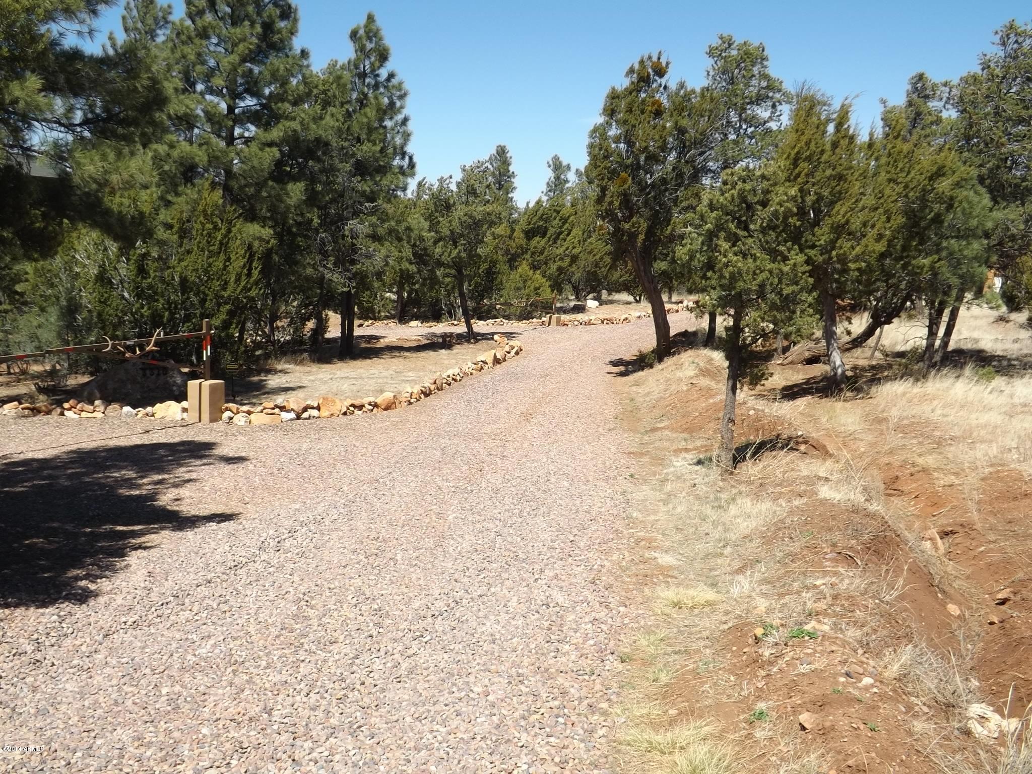 3317 Lodgepole Road, Unit 9D Overgaard, AZ 85933 - Photo 8 of 10 DSCF2077