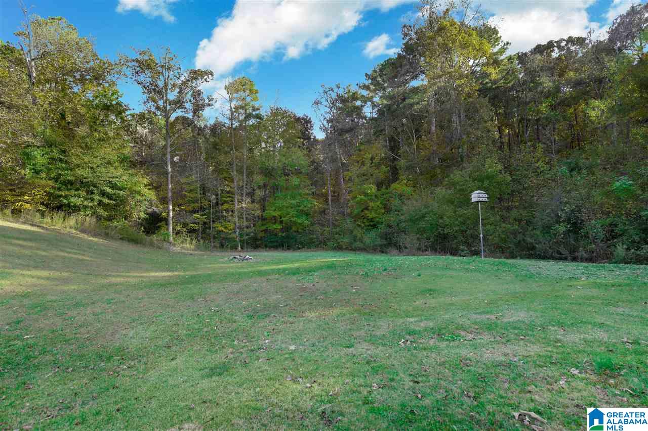 2525 Springville Boulevard Oneonta, AL 35121 - Photo 15 of 36