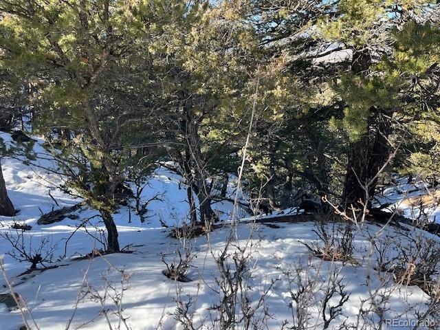 Lot 7898 Tiernan Road Fort Garland, CO 81133 - Photo 11 of 27 a view of a tree in front of a house