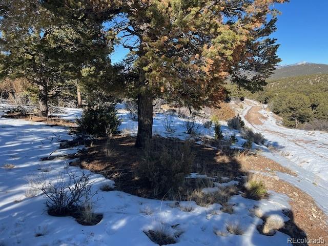 Lot 7898 Tiernan Road Fort Garland, CO 81133 - Photo 2 of 27 a view of a tree with a yard