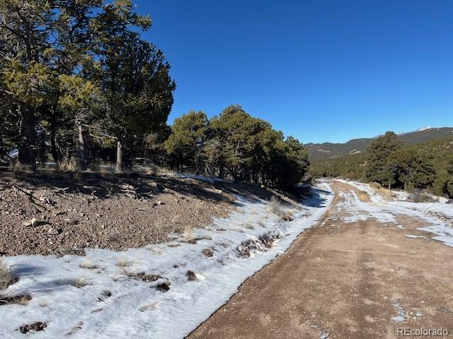 Lot 7898 Tiernan Road Fort Garland, CO 81133 - Photo 21 of 27 a view of a dry yard with trees