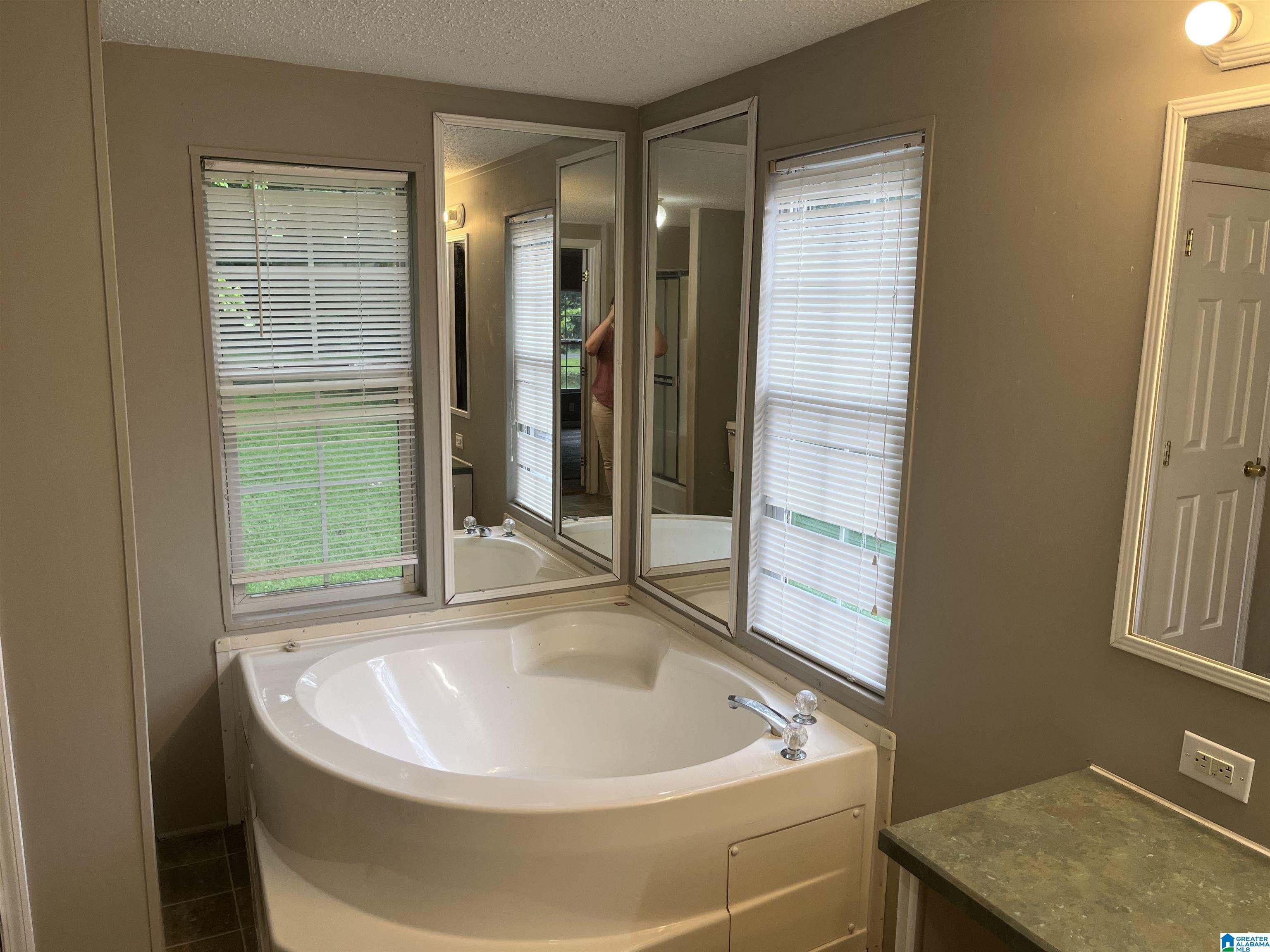 22252 Trace Lane McCalla, AL 35111 - Photo 7 of 15