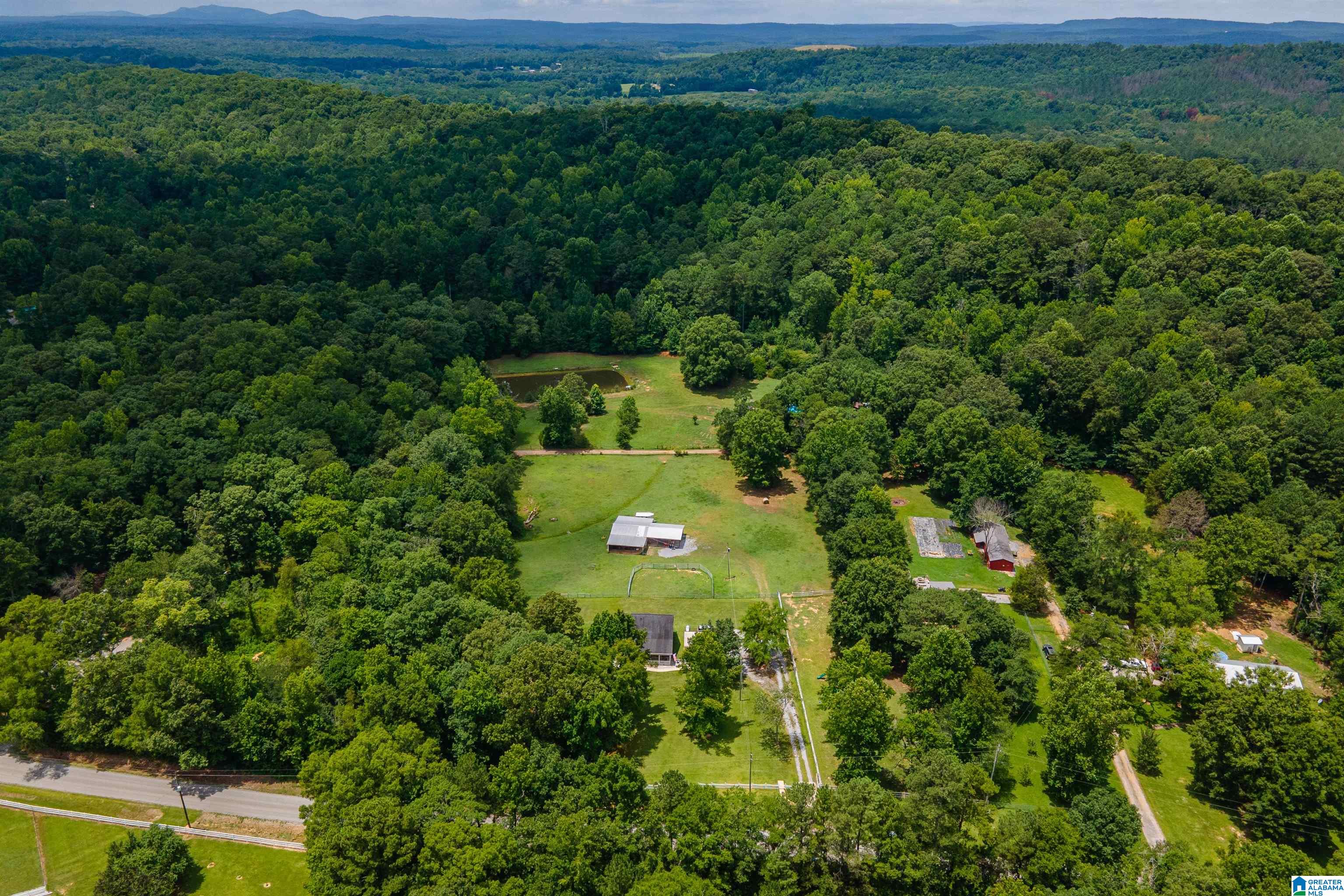 125 Homebrew Knob Ragland, AL 35131 - Photo 78 of 81 Gallery Image 78