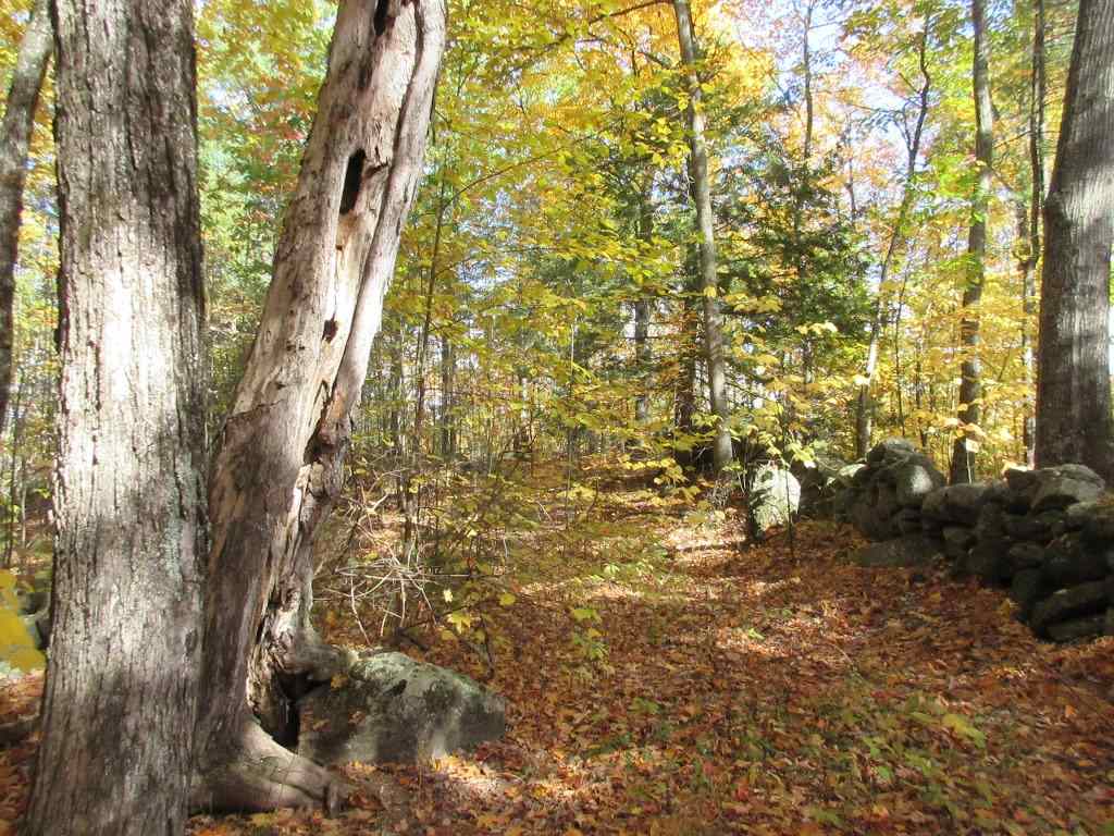 0 Jewett Road, Unit 97 Bradford, NH 03221 - Photo 1 of 5