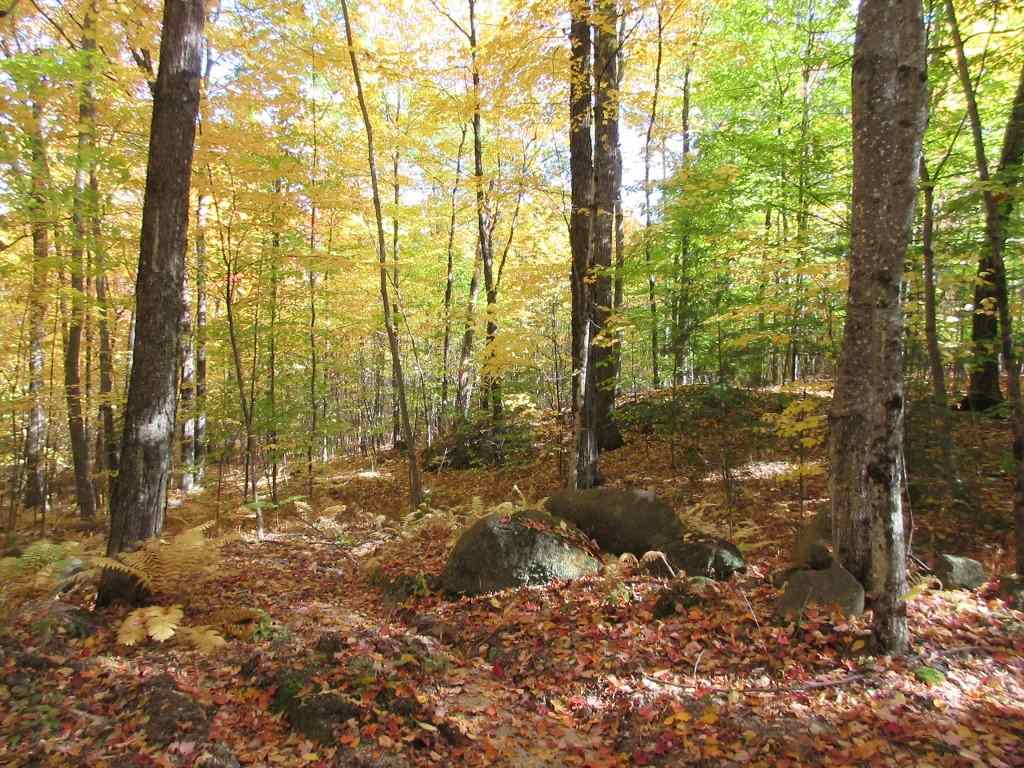 0 Jewett Road, Unit 97 Bradford, NH 03221 - Photo 2 of 5