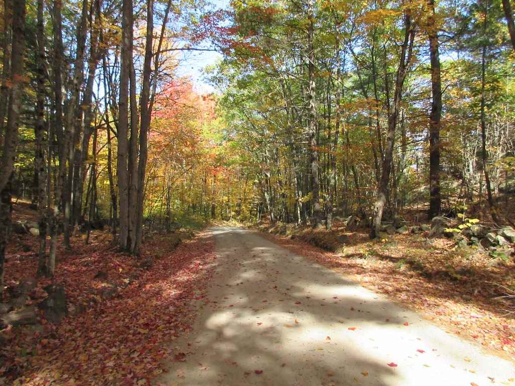 0 Jewett Road, Unit 97 Bradford, NH 03221 - Photo 5 of 5