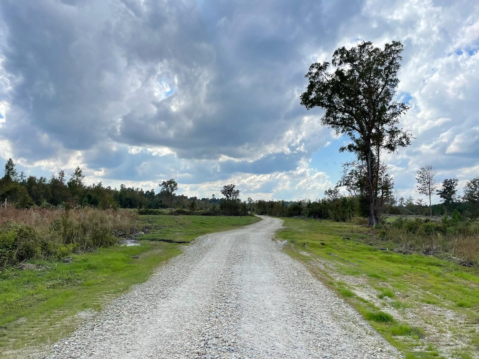4 Hwy 27 Ridgeville Sc 29472 Ridgeville, SC 29472 - Photo 1 of 8 gravel rd