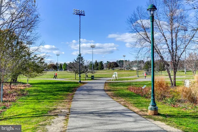 a view of a park with large trees