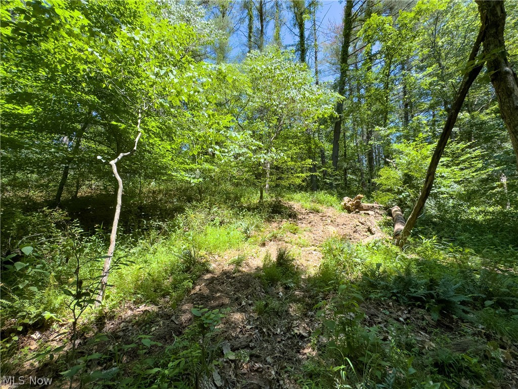 0 Long Hollow Road Pomeroy, OH 45769 - Photo 9 of 31
