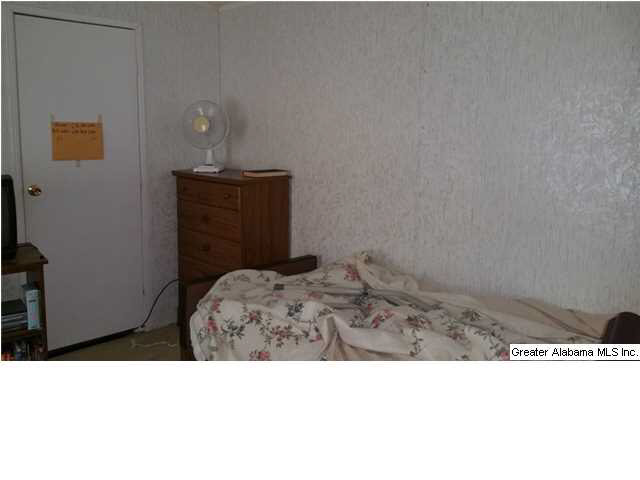 1607 Spring Road Ohatchee, AL 36271 - Photo 12 of 30